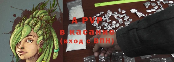 твердый Арсеньев