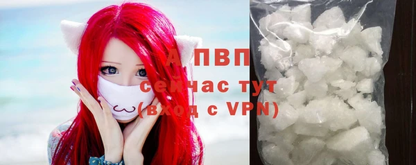 твердый Арсеньев