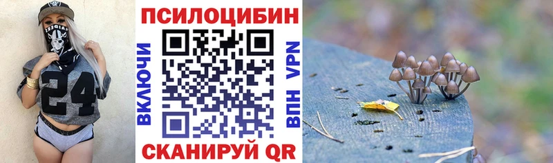 где купить Мышкин Псилоцибиновые грибы ЛСД