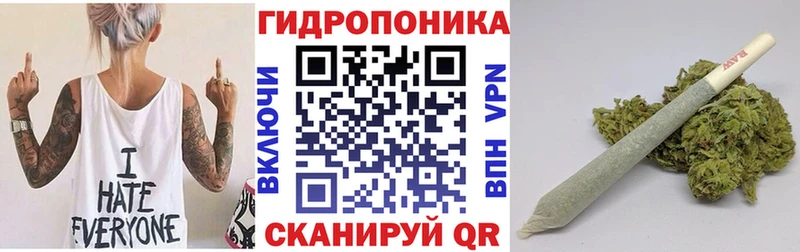 мега вход  даркнет сайт  Мышкин  МАРИХУАНА OG Kush 